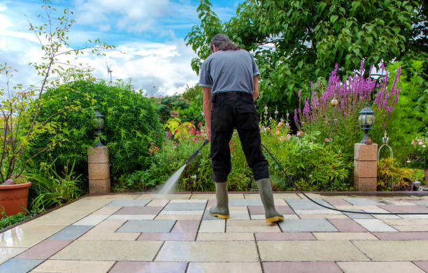 Best Animal Enclosure Cleaning  in Haw River, NC
